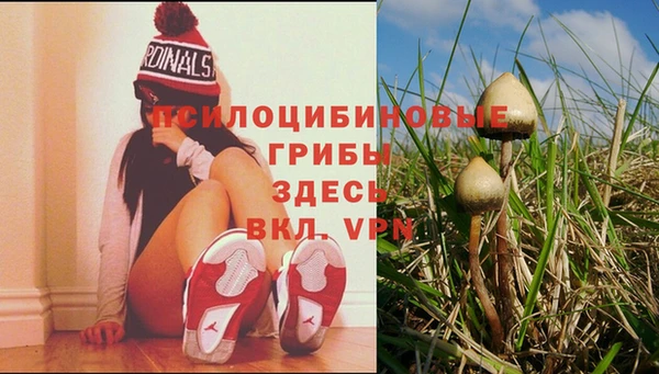 индика Навашино