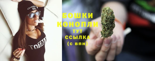 индика Навашино