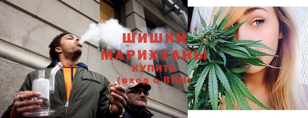 индика Навашино