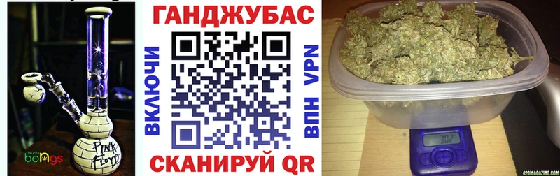 Каннабис гибрид  Купить закладки  Светлогорск 